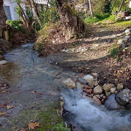 Affittacamere Aggelina Sárkhos Esterno foto